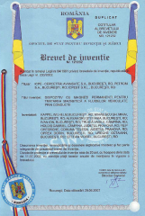 Brevet3.png
